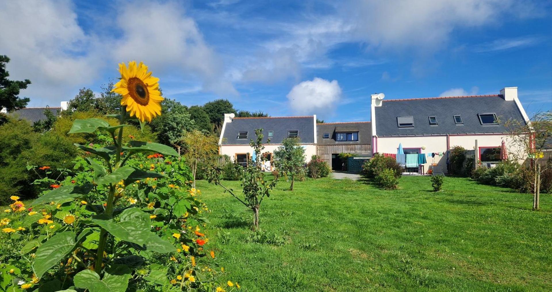 Les Maisons De Kerdavid'Ile - Votre Residence De Vacances A Belle Ile En Mer 록마리아 외부 사진